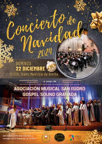 Concierto en Armilla