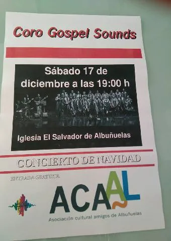 Concierto En Albuñuelas