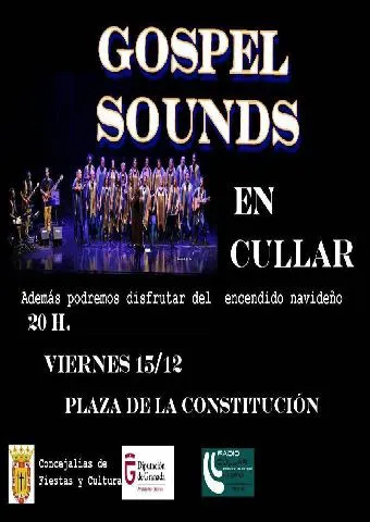 Encendido navideño y concierto