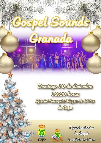 Concierto en Gójar