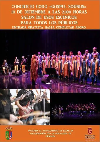 Concierto en Salar