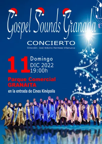 Concierto en Parque comercial Granaita
